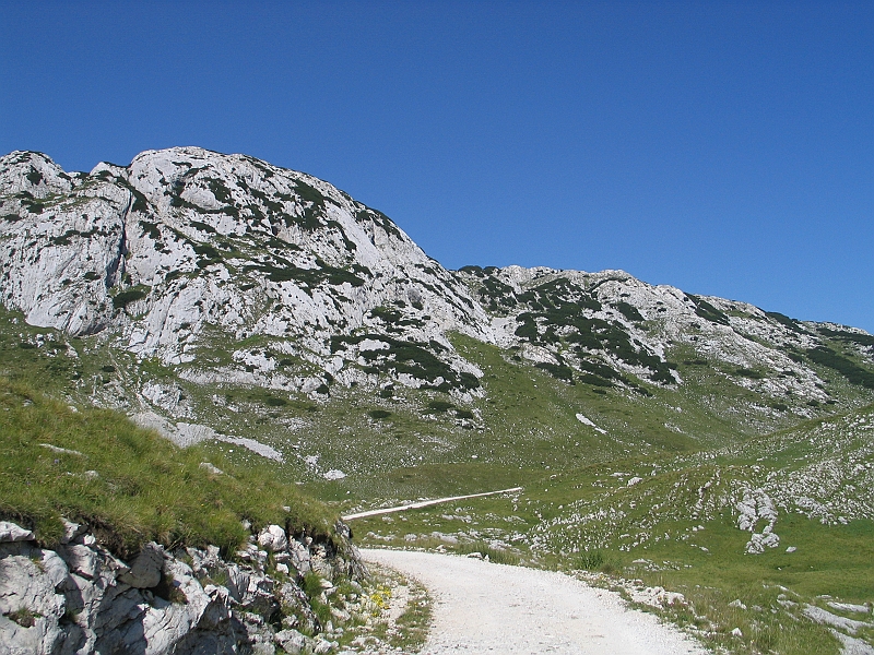 Original image